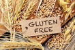 Gluten Free Base